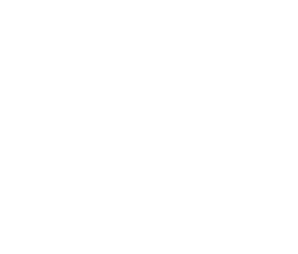 Designic Interiors